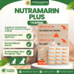 NUTRAMARIN PLUS 1 KAPSUL – Mencegah Gangguan Liver Hati Untuk Kucing & Anjing