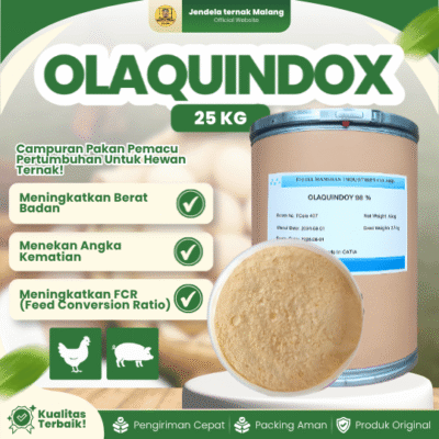 OLAQUINDOX 1 TONG (25 KG) – AGP Broiler Ayam Pedaging Layer Petelur Dan Pertumbuhan.