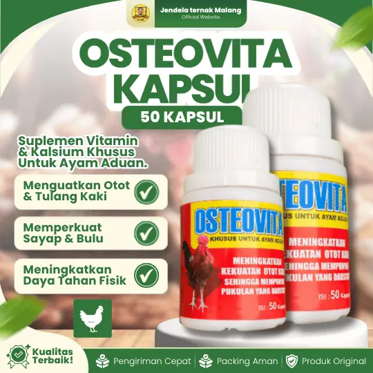 OSTEOVITA 50 KAPSUL BY EKA FARMA – Vitamin Ayam Untuk Aduan, Penguat Kaki Dan Pukulan.