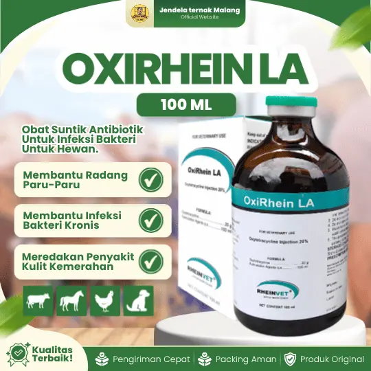 OXIRHEIN LA 100 ML – AB Pernafasan dan Pencernaan Untuk Ternak