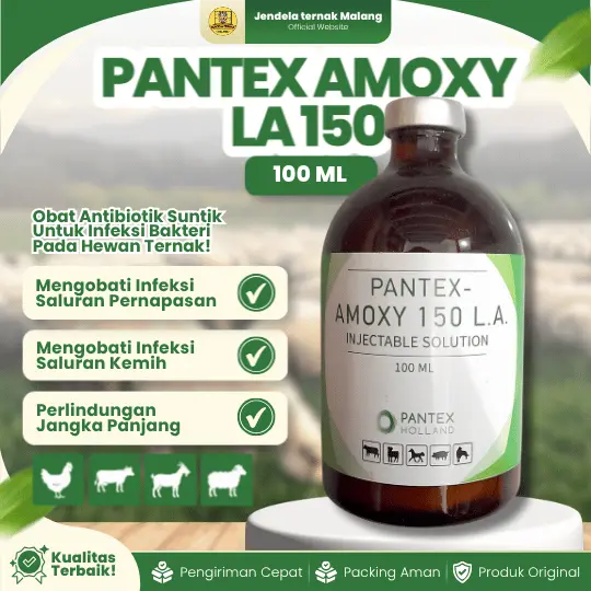 PANTEX AMOXY LA 150 – 100 ML – Atasi Infeksi Pernapasan, Pencernaan Hewan