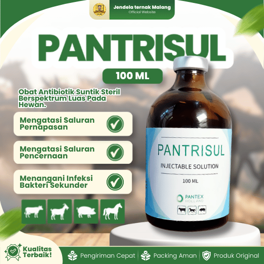 PANTRISUL 100 ML BY PANTEX HOLLAND - Atasi Berbagai Infeksi, Mastitis, Radang Sendi Hewan Ternak.