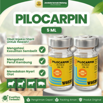 PILOCARPIN 5 ML BY WONDER – Untuk Kembung, Kolik Dan Hiperaktif Pada Hewan.