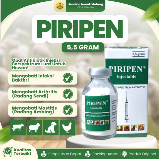 PIRIPEN 5,5 GRAM - Pen N Strep Serbuk - Campur Dengan B Plex OR Aqwadest.
