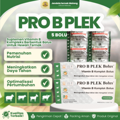 PRO B PLEX 5 BOLUS (1 BLISTER) – Vitamin B Komplek Untuk Hewan