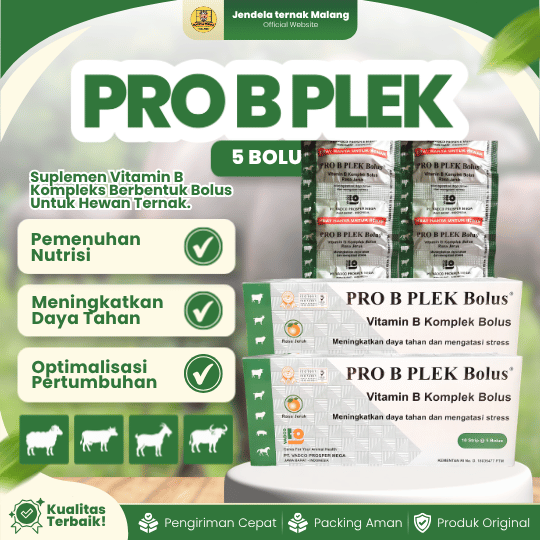 PRO B PLEX 5 BOLUS (1 BLISTER) - Vitamin B Komplek Untuk Hewan