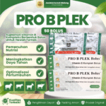 PRO B PLEX 50 BOLUS (1 BOX) – Vitamin B Komplek Untuk Hewan