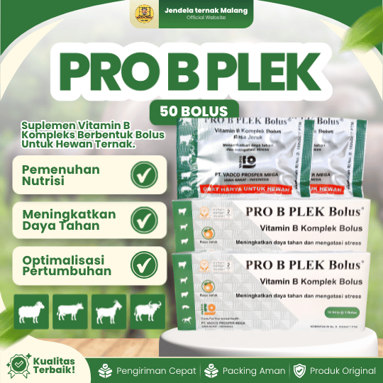 PRO B PLEX 50 BOLUS (1 BOX) - Vitamin B Komplek Untuk Hewan