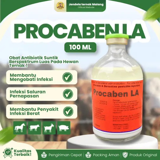 PROCABEN LA 100 ML – AB Long Acting Untuk Hewan Ternak.