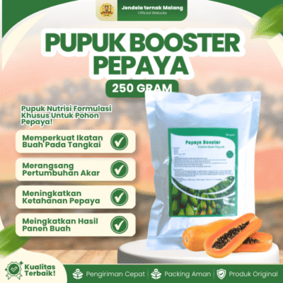 PUPUK BOOSTER PEPAYA 250 GRAM – Mempercepat, Memperbaiki Dan Multifungsi Pepaya.