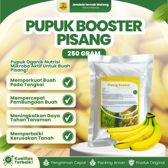 PUPUK BOOSTER PISANG 250 GRAM - Mempercepat, Melebatkan Dan Multifungsi Buah Pisang