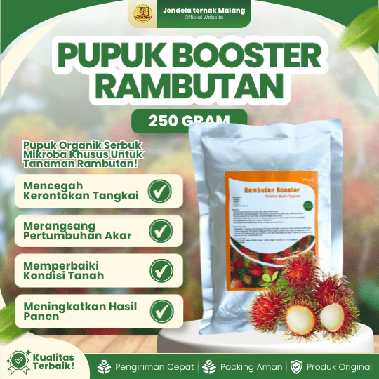 PUPUK BOOSTER RAMBUTAN 250 GRAM - Pupuk Buah Rambutan Multifungsi Dan Berkualitas.
