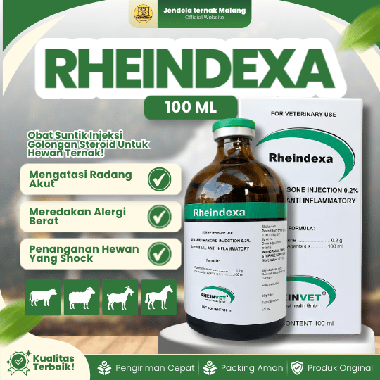 RHEINDEXA 100 ML - Untuk Hewan Ternak