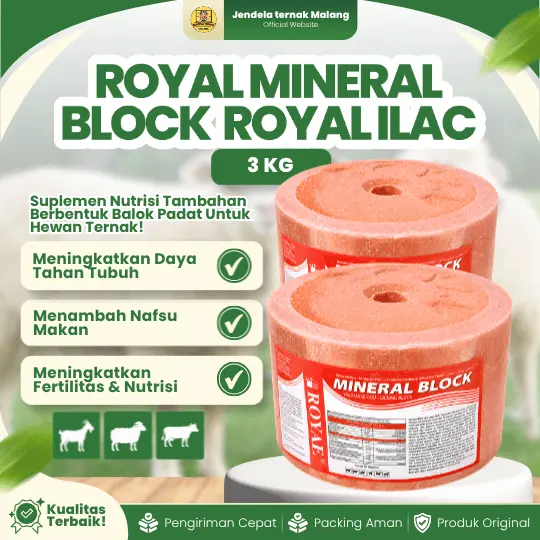 ROYAL MINERAL BLOCK 3 KG ROYAL ILAC – Mineral Blok Jilat Untuk Sapi, Domba, Kambing, DLL.