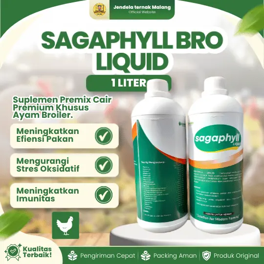 SAGAPHYLL BRO LIQUID 1 LITER – Meningkatkan Efisiensi Pakan Dan Kesehatan Hati Dan Mengurangi Stres