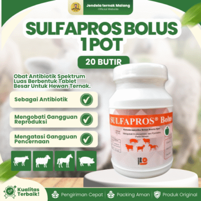 SULFAPROS BOLUS 1 POT 20 BUTIR – Untuk Atasi Diare dan Masalah Pencernaan Pada Hewan.