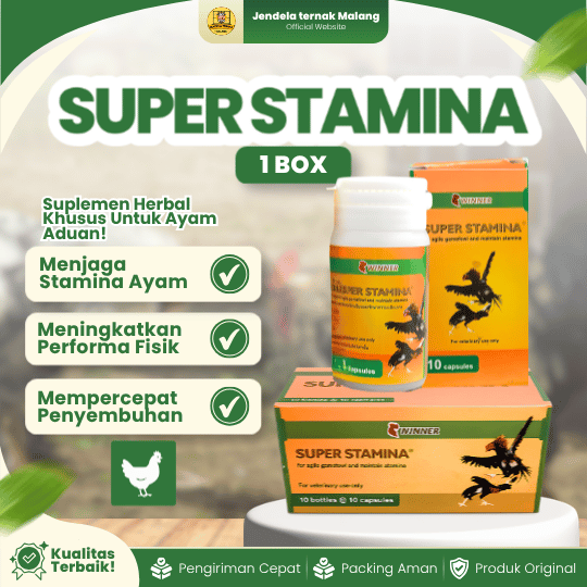 SUPER STAMINA WINNER MEDION 1 BOX (12 BOTOL) -  Suplemen Penambah Stamina Khusus Untuk Ayam
