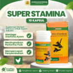 SUPER STAMINA WINNER 1 BOTOL (ISI 10 KAPSUL) BY MEDION – Penambah Stamina Dan Nafas Panjang Ayam Aduan.