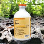 MEDIVAC ND EMULSION 100 ML DOSIS 200 EKOR - Vaksin Unggas Tetelo Serta Cacat Pada Telur.