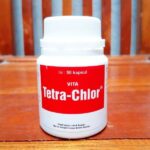 TETRA CHLOR 50 KAPSUL - Untuk Masalah Pilek Batuk Snot Ngorok Crd Korisa Diare Mencret Hewan Unggas