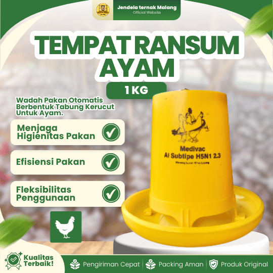 TEMPAT RANSUM AYAM 1 KG BY MEDION - Tempat Pakan Ayam Ransum Agar Lebih Fresh.