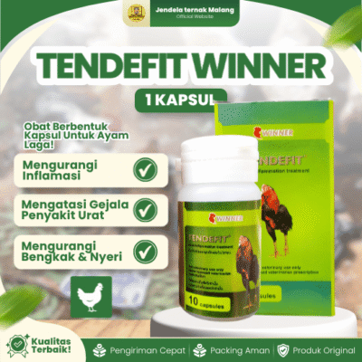 TENDEFIT WINNER 10 KAPSUL BY MEDION – Atasi Turun Urat, Nyeri Otot, Dan Bengkak Ayam Laga.