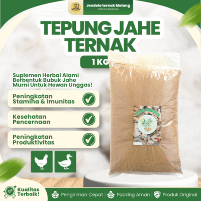 TEPUNG JAHE TERNAK 1 KG FEED GRADE – Suplemen Meningkatkan Nafsu Makan & Daya Tahan Tubuh Ternak.
