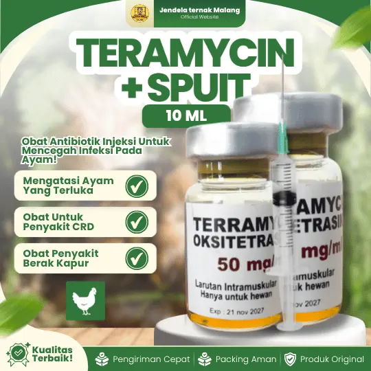 Teramycin 10 ml + Supit – Obat Ayam Sakit Setelah Terkena Luka Sangat Bagus Mengobati Infeksi Terkena Jalu Sebagai Antibiotik Penyembuhan Luka dan Obat CRD