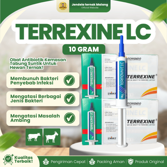 TERREXINE 1 SYRINGE 10 GRAM - Ampuh Atasi Bakterisidal, Mastitis, Laktasi Untuk Hewan Ternak