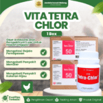 TETRA CHLOR 50 KAPSUL 1 BOX (12 BOTOL) – Untuk Masalah Pilek Batuk Snot Ngorok Crd Korisa Diare Mencret Hewan Unggas