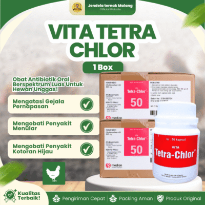 TETRA CHLOR 50 KAPSUL 1 BOX (12 BOTOL) – Untuk Masalah Pilek Batuk Snot Ngorok Crd Korisa Diare Mencret Hewan Unggas