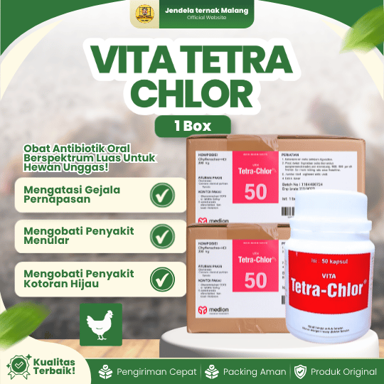 TETRA CHLOR 50 KAPSUL 1 BOX (12 BOTOL) - Untuk Masalah Pilek Batuk Snot Ngorok Crd Korisa Diare Mencret Hewan Unggas