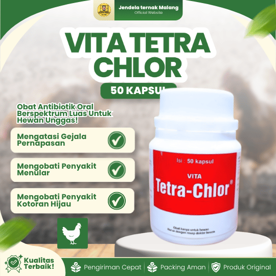 TETRA CHLOR 50 KAPSUL - Untuk Masalah Pilek Batuk Snot Ngorok Crd Korisa Diare Mencret Hewan Unggas