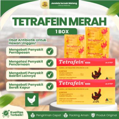 TETRAFEIN MERAH 1 BOX (ISI 20 STRIP) – Obat Anti SNOT CRD Berak Hijau Berak Putih Ayam Burung