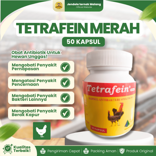 TETRAFEIN MERAH 1 POT ISI 50 KAPSUL - Untuk Masalah Snot, CRD, Berak Hijau, Putih & Antibakteri Unggas.