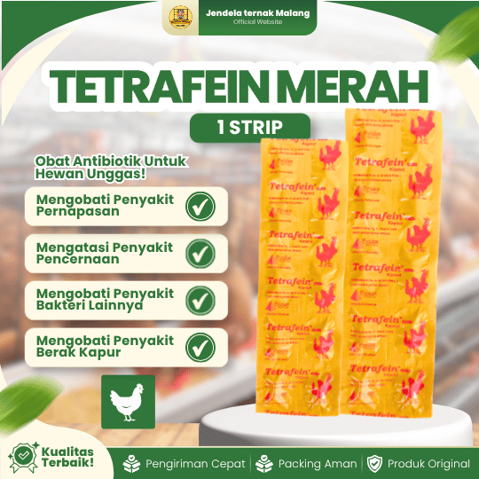 TETRAFEIN MERAH 1 STRIP (10 KAPSUL) - Obat Ayam SNOT CRD & Berak Hijau Antibakteri Ayam Burung