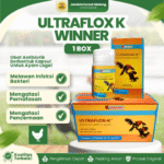 ULTRAFLOX K 1 BOX (12 BOTOL) - Untuk Masalah Pencernaan dan Pernafasan Pada Ayam Unggas