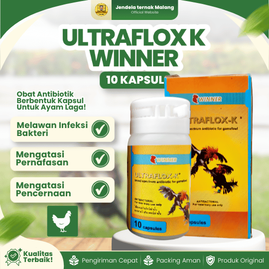 ULTRAFLOX K WINNER 10 KAPSUL BY MEDION - AB Saluran Pencernaan & Pernapasan Ayam Laga.