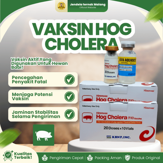 VAKSIN HOG CHOLERA (CSF) - Untuk Babi Dosis 20 Ekor.