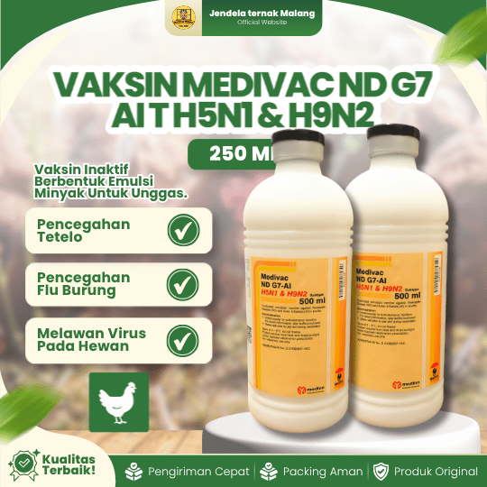VAKSIN MEDIVAC ND G7 AI T H5N1 & H9N2 250 ML - Vaksin Ayam Dosis 500 Ekor Mencegah Tetelo.