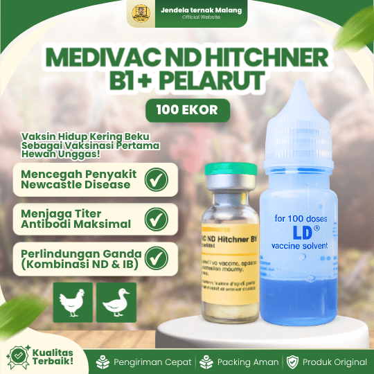 MEDIVAC ND HITCHNER B1 DOSIS 100 EKOR + PELARUT BY MEDION - Mengurangi Resiko Kematian Ayam & Unggas