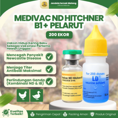 MEDIVAC ND HITCHNER B1 DOSIS 200 EKOR + PELARUT BY MEDION – Mengurangi Resiko Kematian Ayam & Unggas