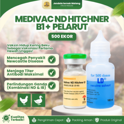 MEDIVAC ND HITCHNER B1 DOSIS 500 EKOR + PELARUT BY MEDION – Mengurangi Resiko Kematian Ayam & Unggas
