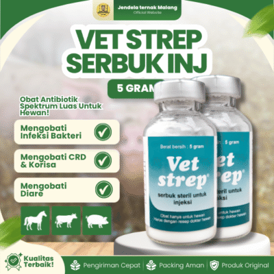VET STREP SERBUK INJ 5 GRAM – Untuk Infeksi Pernapasan, Snot, Pilek, Korisa, Muka Bengkak Pada Hewan