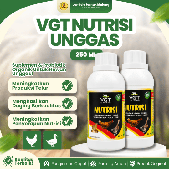 VGT NUTRISI UNGGAS 250 ML - Nutrisi Lengkap Berkualitas Untuk Petumbuhan Unggas.