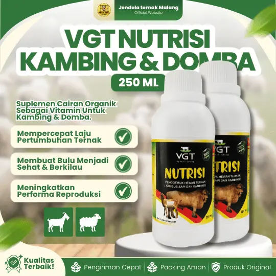 VGT NUTRISI TERNAK SAPI KAMBING 250 ML – Nutrisi Untuk Hewan Ternak Kambing dan Domba.