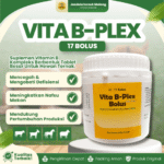 VITA B-PLEX ISI 17 BOLUS BY MEDION – Tingkatkan Nafsu Makan Dan Pertumbuhan Hewan Ternak