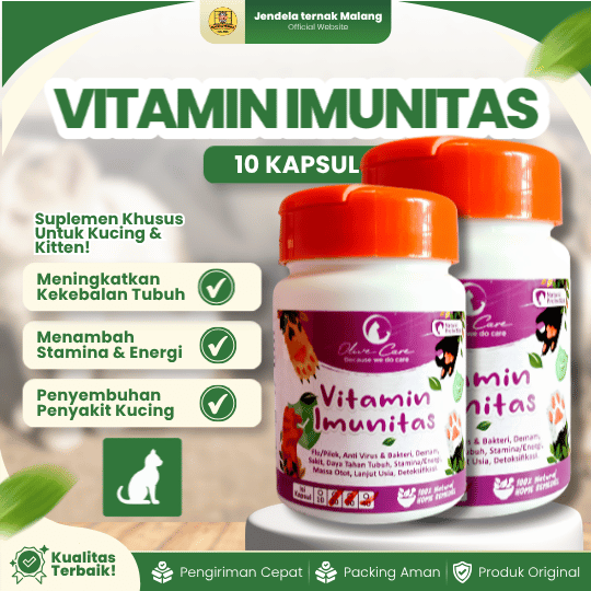 VITAMIN IMUNITAS ISI 10 KAPSUL BY OLIVE CARE – Untuk Kitten Kucing Dewasa.