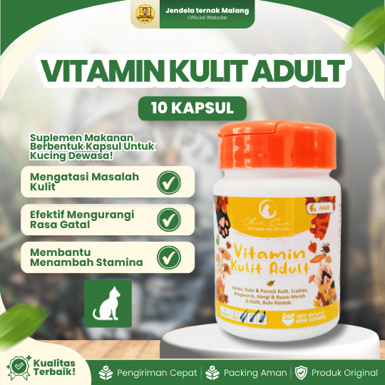 VITAMIN KULIT ADULT ISI 10 KAPSUL OLIVE CARE – Vitamin Untuk Kucing