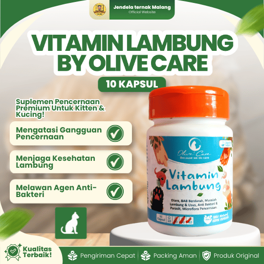 VITAMIN LAMBUNG ISI 10 KAPSUL BY OLIVE CARE - Untuk Kitten Dan Kucing.